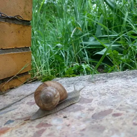 Appartamento Old Bavarian House On The Romantic Road Harburg (Bavaria)